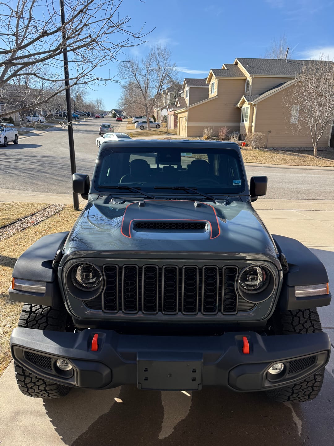 Customer photo review of Hood Graphic for Gladiator MOJAVE