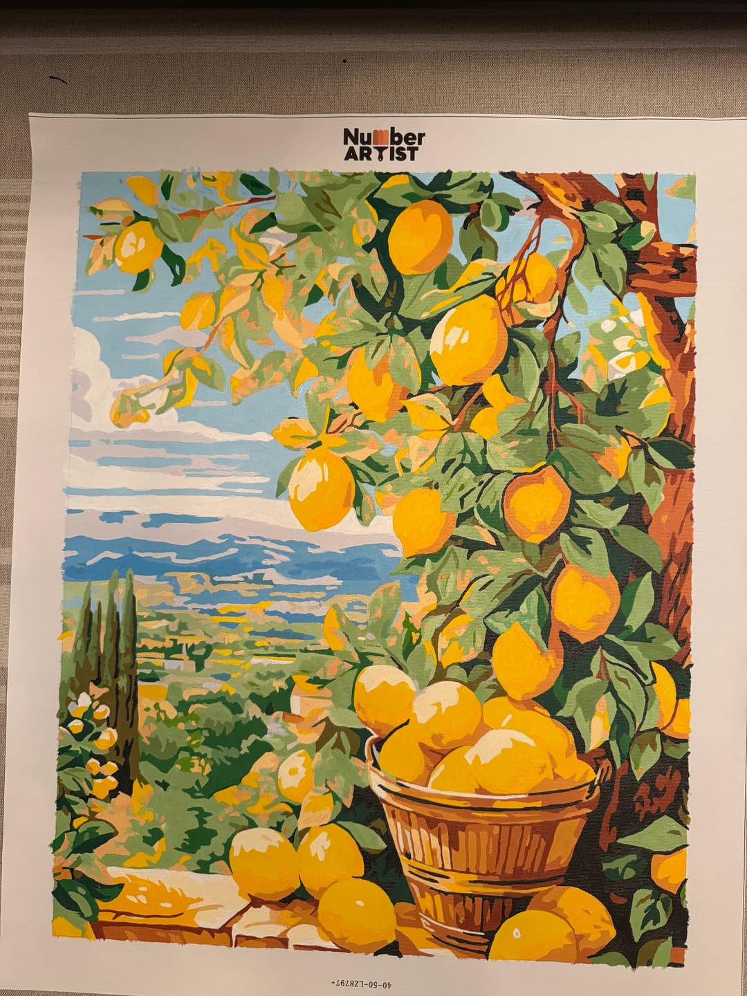 Customer photo review of Bounty Lemons