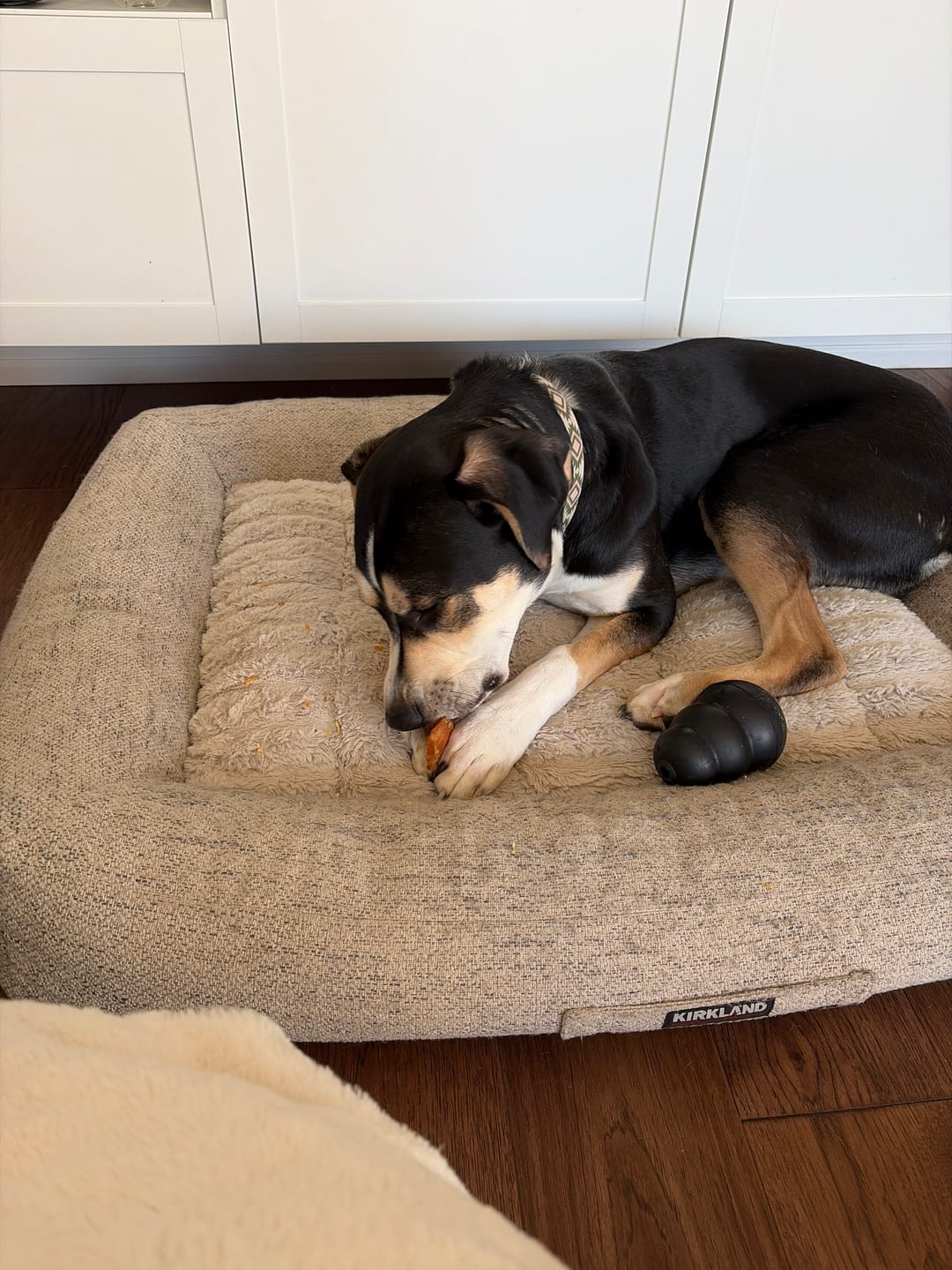 Customer photo review of Himalayan Yak Chew (MEGA)