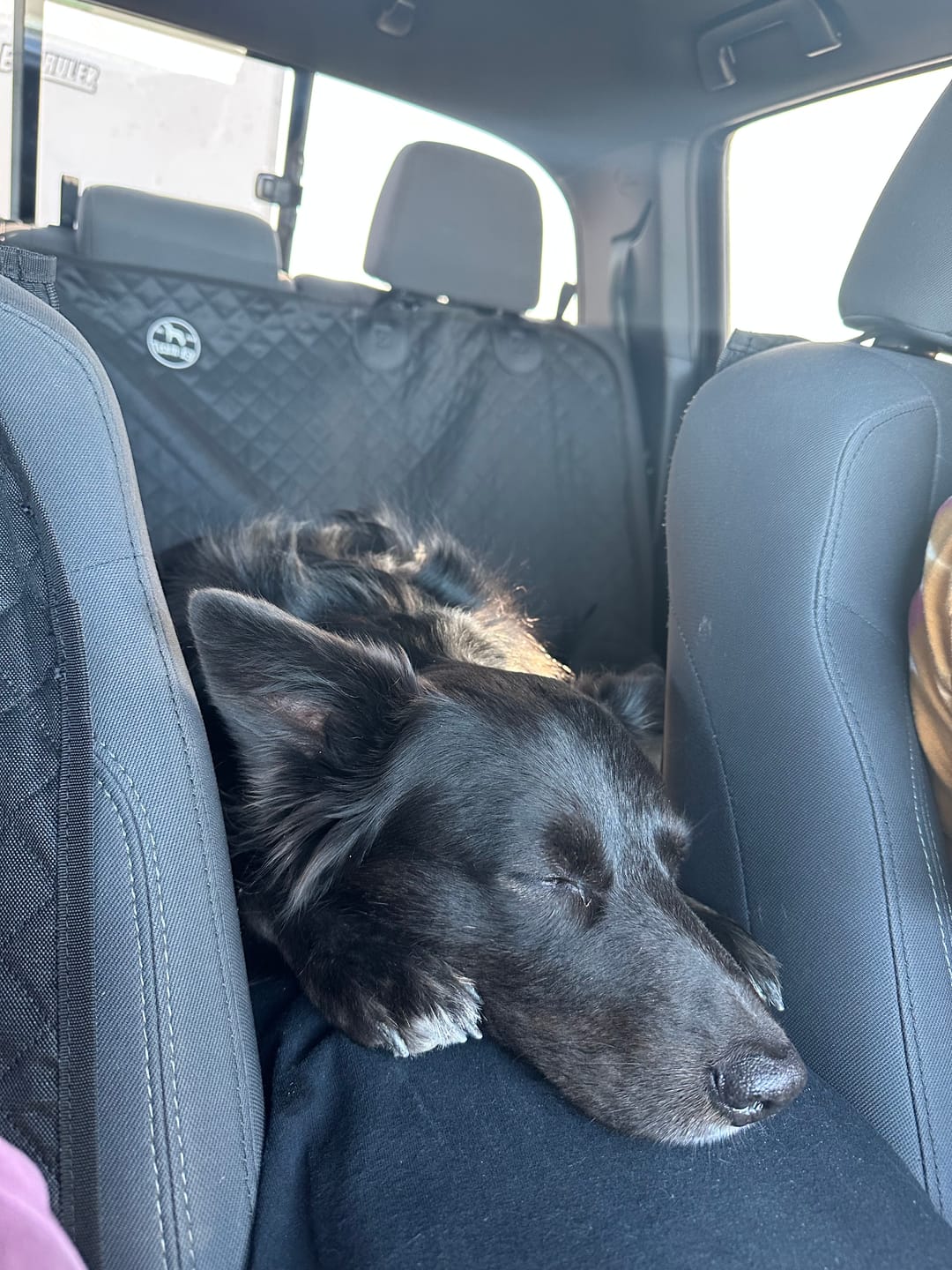 Customer photo review of Waterproof Single-Seat Cover