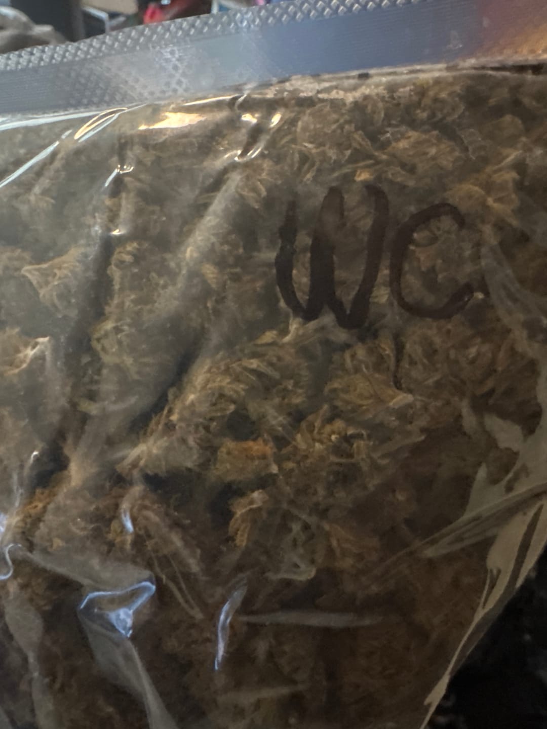 Customer photo review of Wedding Crasher THCA Flower LB