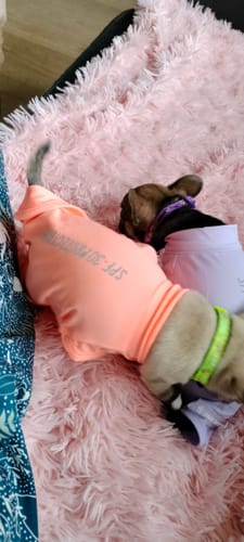 Customer's dog in an orange Sunblock T-Shirt with 'SPF 30 PROTECTION' visible, resting on a fluffy pink blanket.