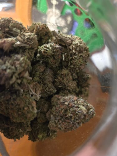 Customer photo review of Shipping Protection by Route