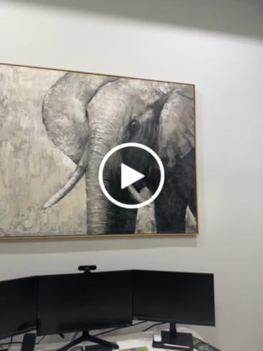 Customer video review of Abstract Elephant Art #ANE05