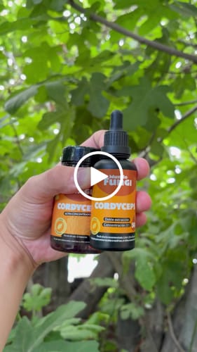 Customer video review of Pack Cordyceps XL