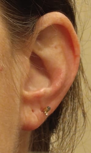 Customer photo review of עגילי לברדור-לייט