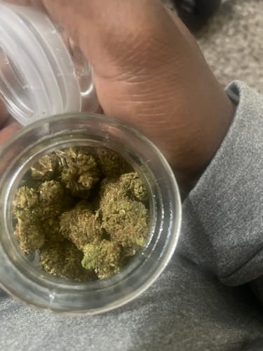 Customer photo review of Gary Payton THCA Flower