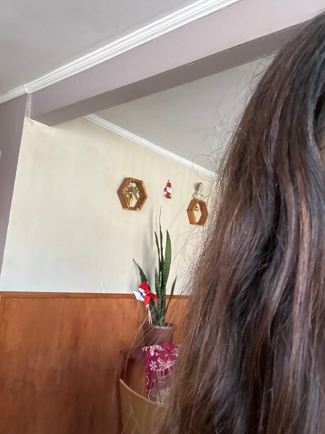 Customer photo review of Acondicionador Anti Frizz Essential Love Smoothing Davines