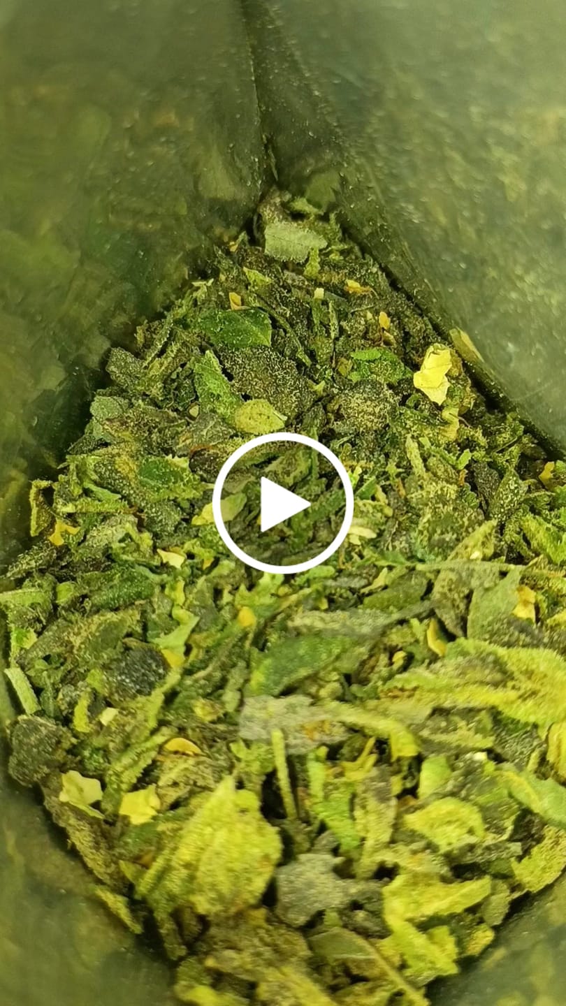 Customer video review of Exotic THCa Shake
