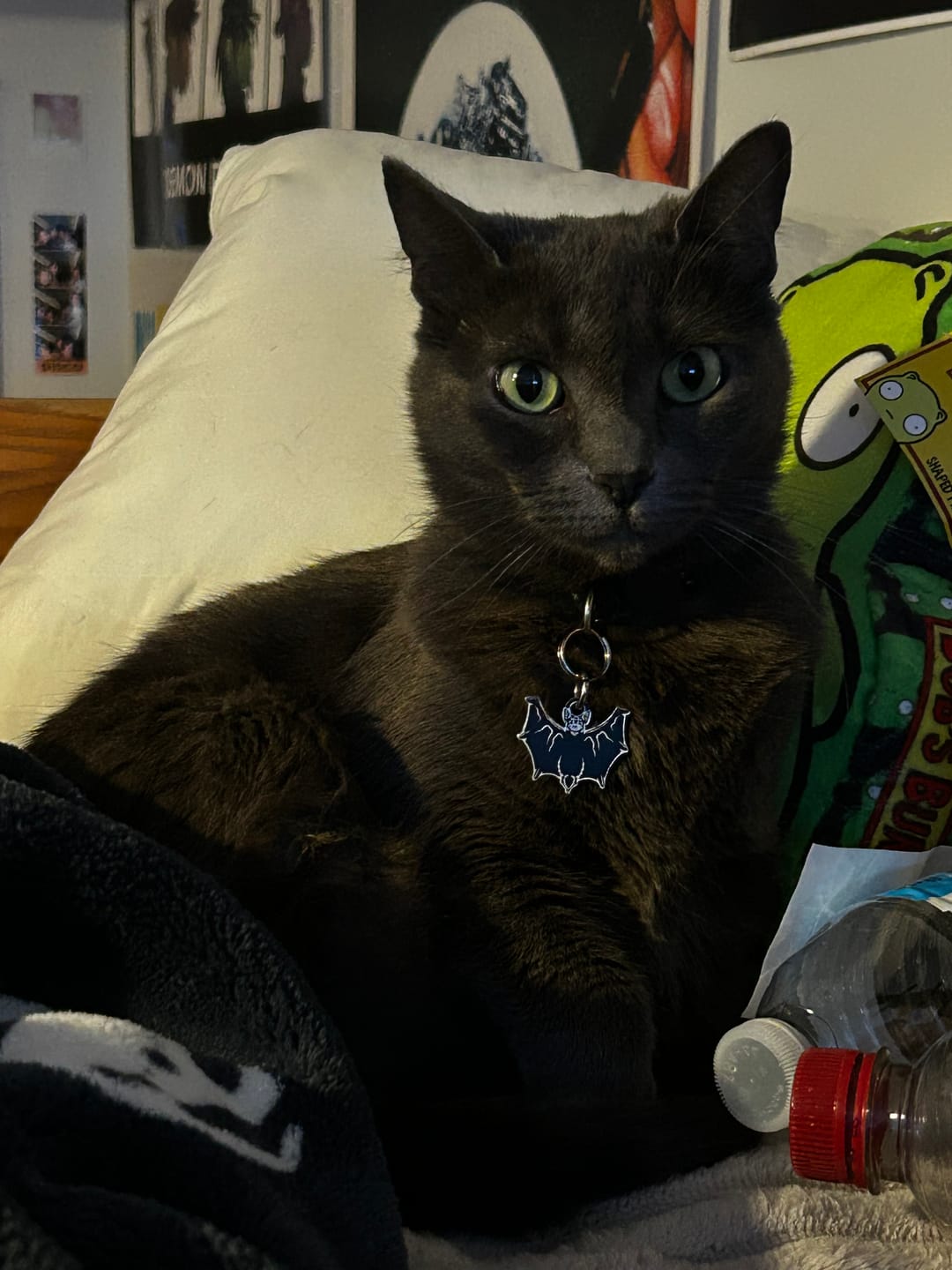 Customer photo review of PET TAG