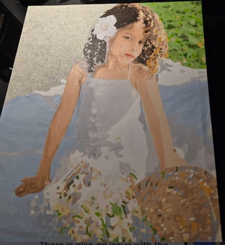 Customer photo review of Custom Portrait Paint By Numbers