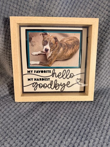 Customer photo review of Crafting Memories SVG Mega Bundle