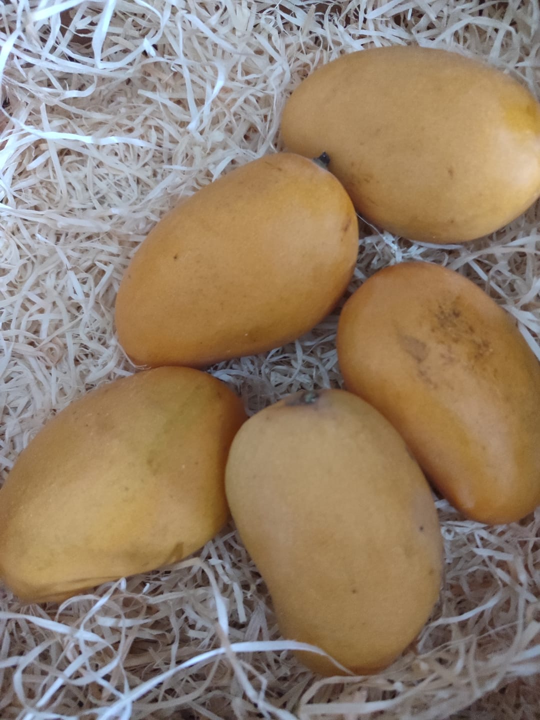 Customer photo review of Mango Honig „Ataulfo“ Bio von Joe Roman baumgereifte Flugware