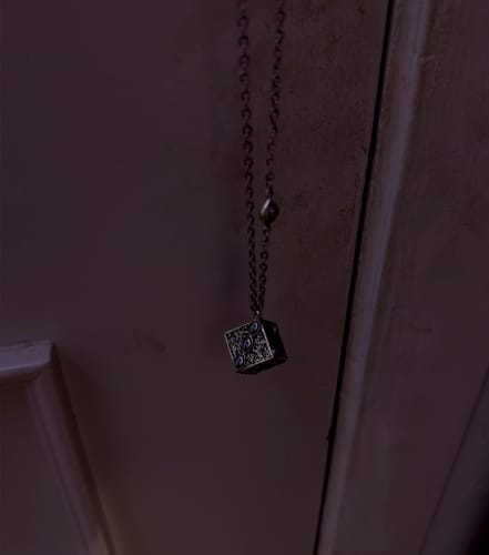 Customer photo review of Collar "Gokumonkyo"