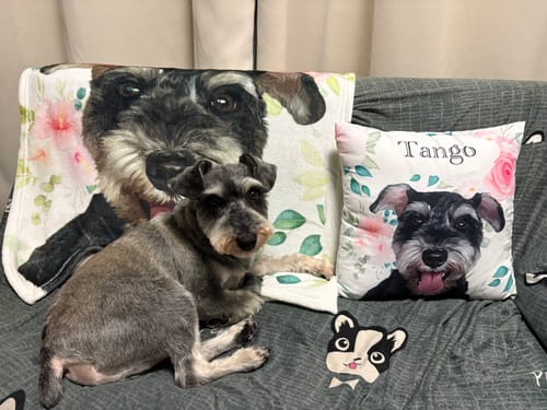 Customer photo review of Petcanva® 品質補償サービス