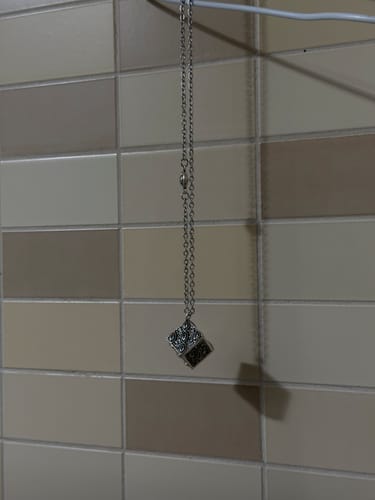 Customer photo review of Collar "Gokumonkyo"