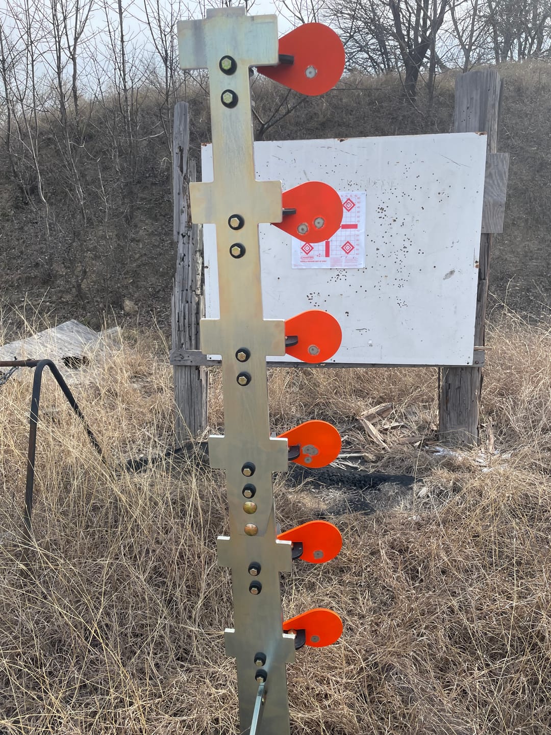 Customer photo review of Dueling Tree Target