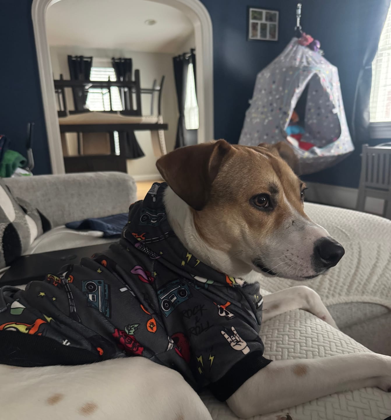 Customer photo review of Rock and Roll Dog Hoodie