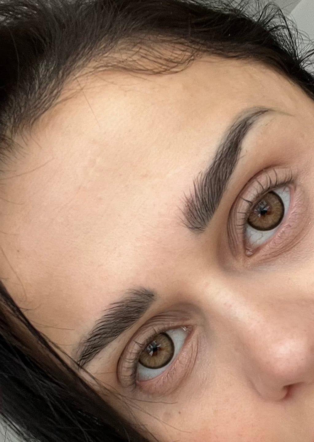 Customer photo review of BELLE | OLIVE BRAUN