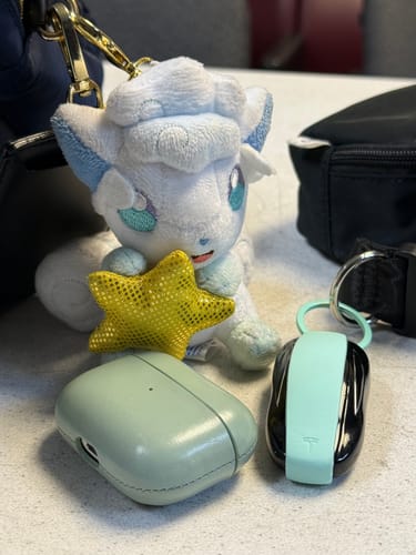 Customer photo review of Silicone Key Protector for Tesla Model 3/Y/S/X Keys - Key Fob Holder