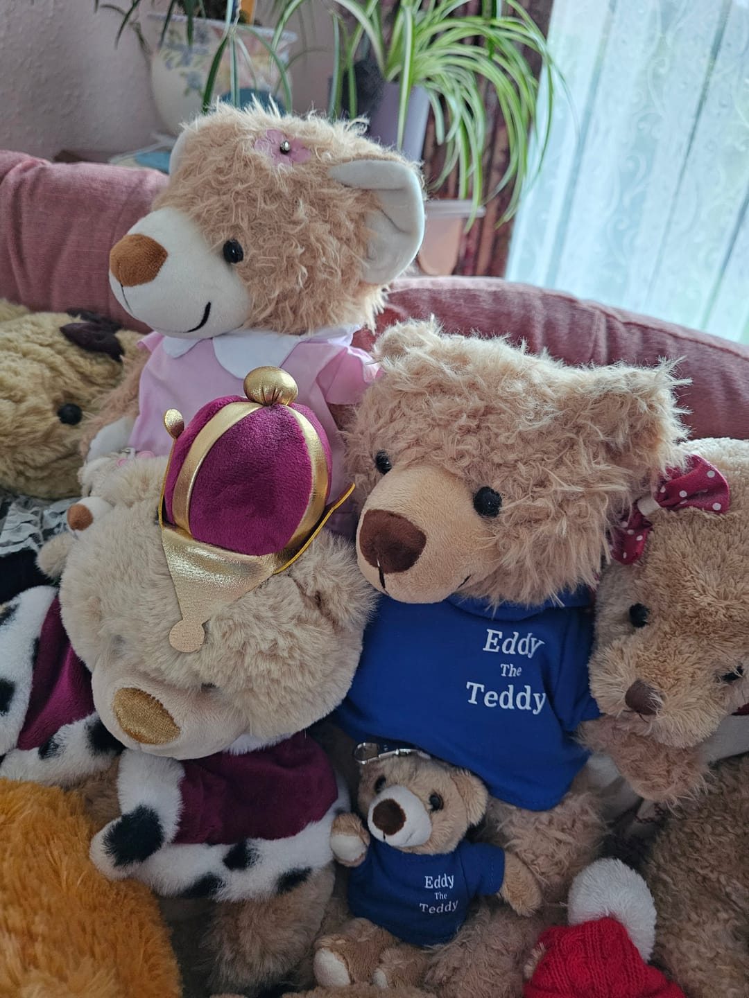Customer photo review of Eddy The Teddy Bear