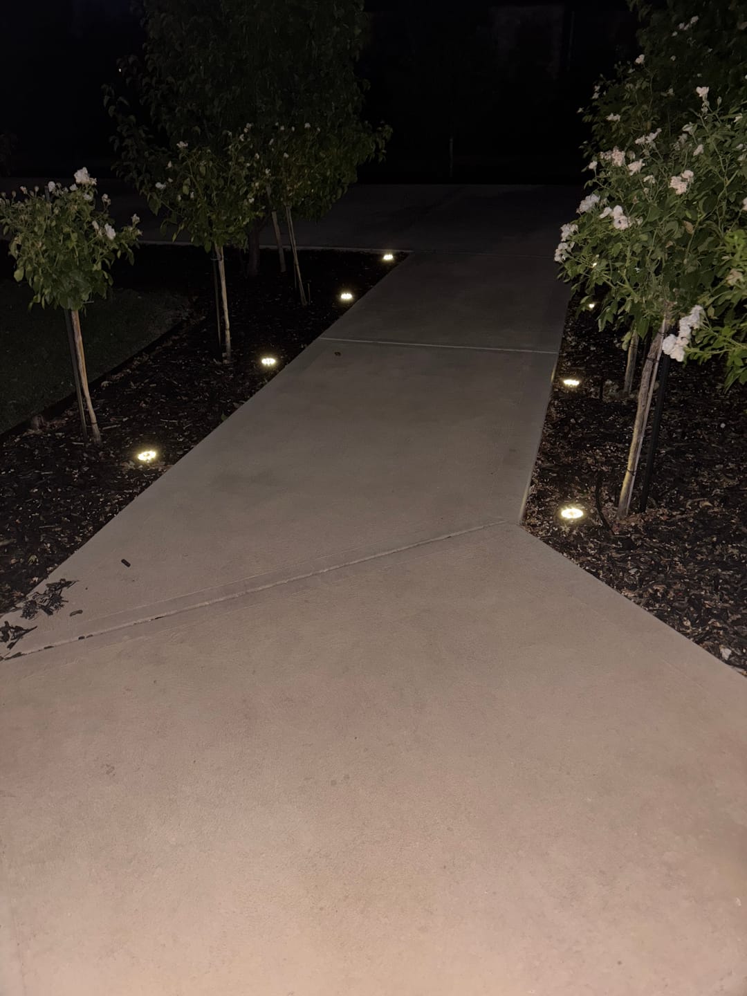 Customer photo review of SolaGarden™ LED Ground Light Pack