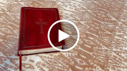 Customer video review of Chilled Mint Nicotine Pouches