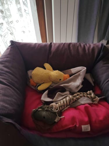 Customer photo review of Duck™ - Il Pupazzo Indistruttibile