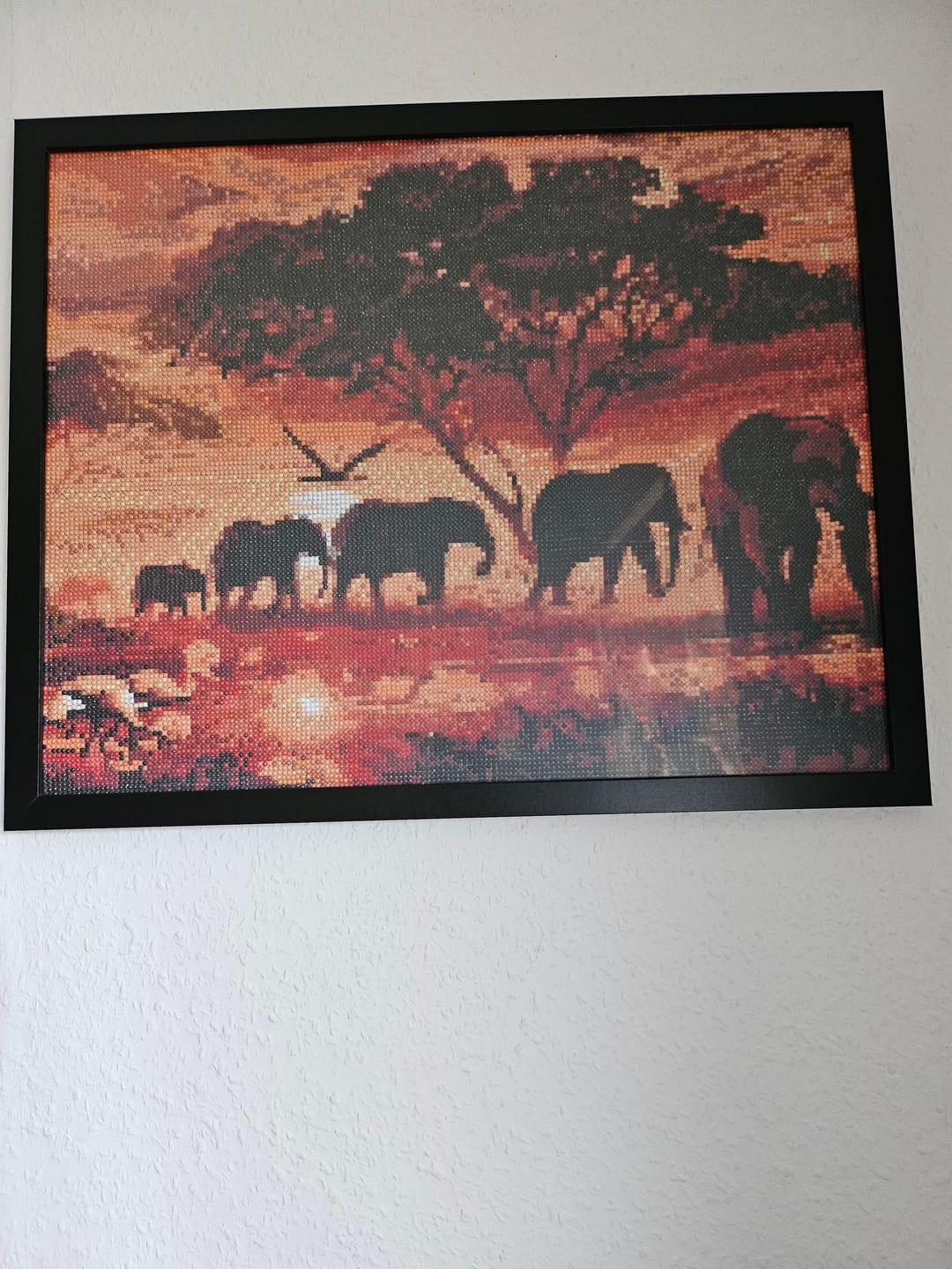 Customer photo review of Elefantenherde