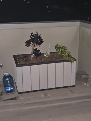 Customer photo review of Sequoia Planter - Medium