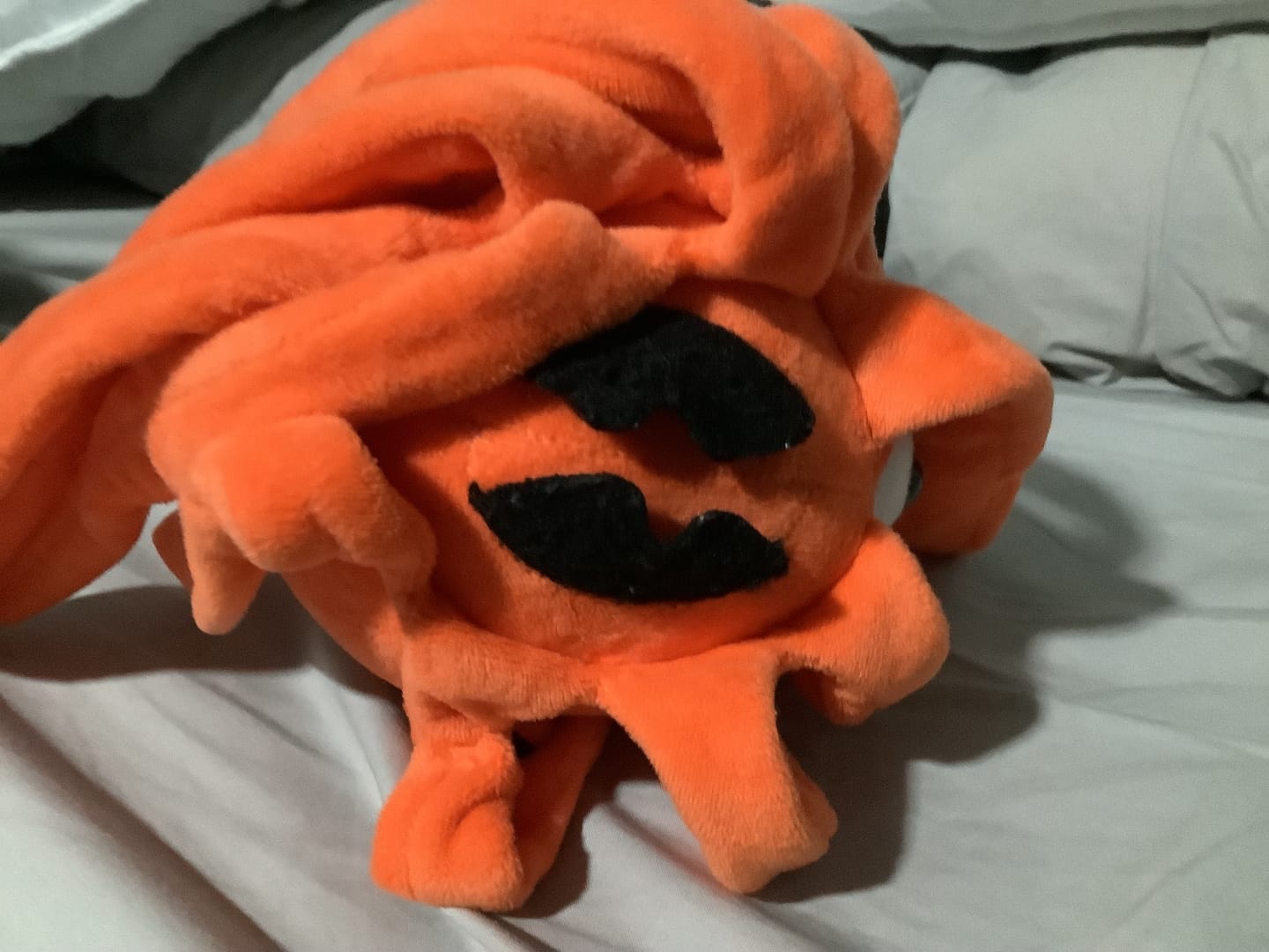 Customer photo review of Orthoceras Nautiloid Cephalopod Soft Stuffed Plush Toy