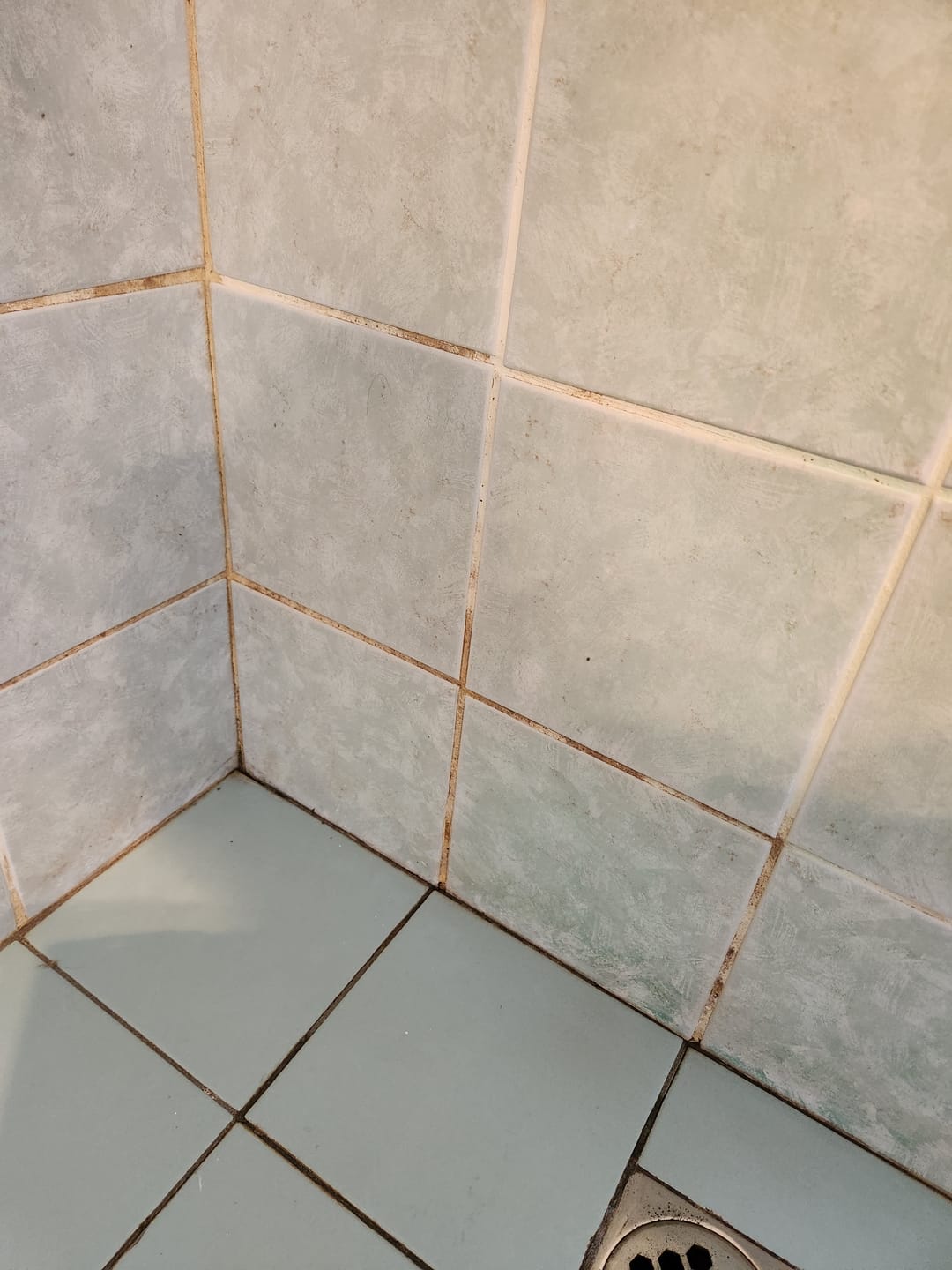 Customer photo review of SHYN Starter System