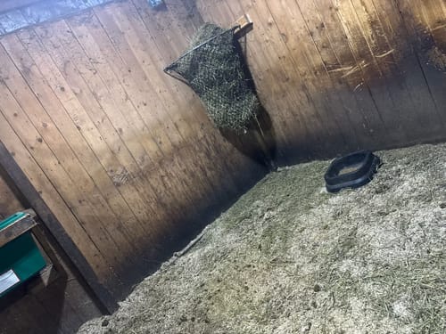 Customer photo review of Hay Chix® Hay Rack