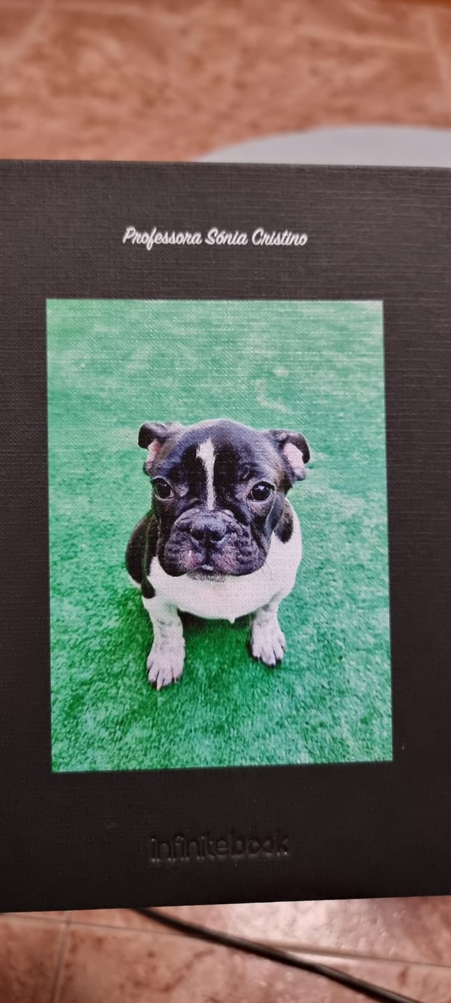 Customer photo review of Colored Reusable Sticky Notes