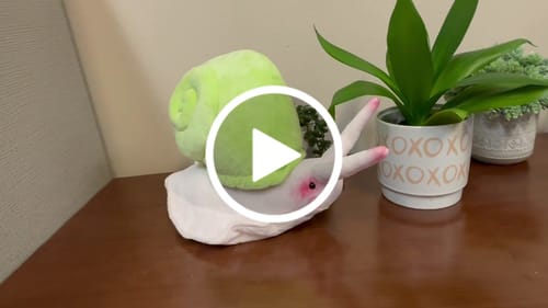 Customer video review of Green Mountain Snail Soft Stuffed Plush Toy