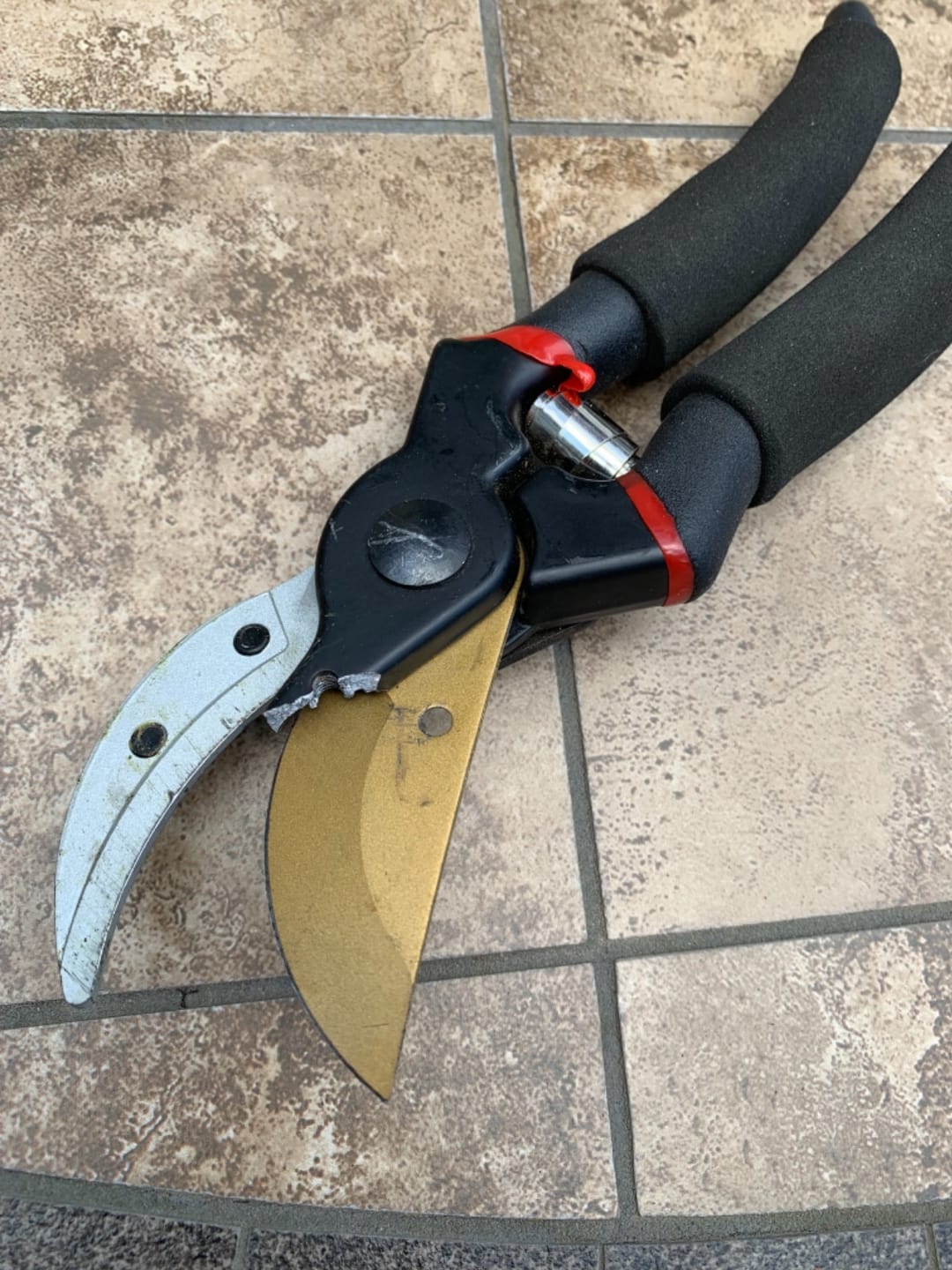 Customer photo review of Professional Bypass Pruning Shears 8.5 Inch – Sharp & Ergonomic