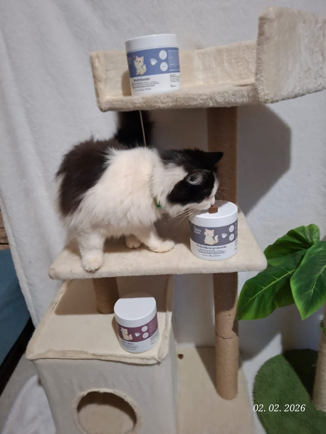 Customer photo review of Prebiotiki in probiotiki