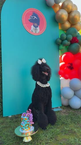 Customer photo review of Dubai Cat Necklace