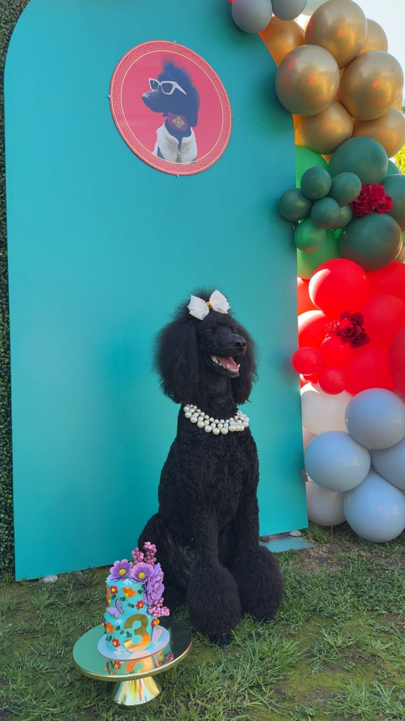 Customer photo review of Dubai Cat Necklace