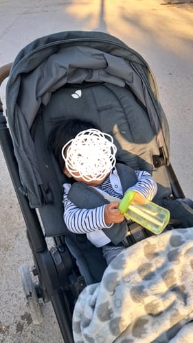 Customer photo review of Carriola Versatrax