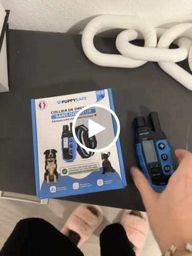 Customer video review of Collier de Dressage PuppySafe - Sans Choc Électrique