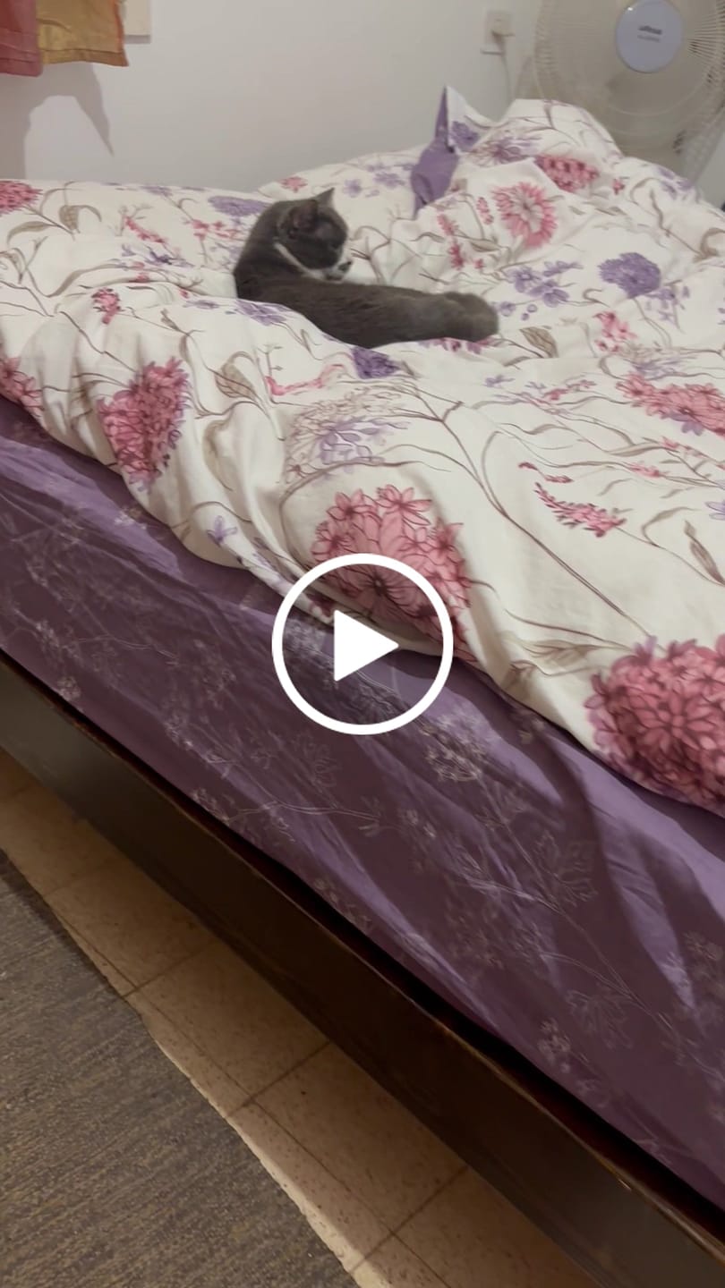Customer video review of מותחן סדינים בקליק