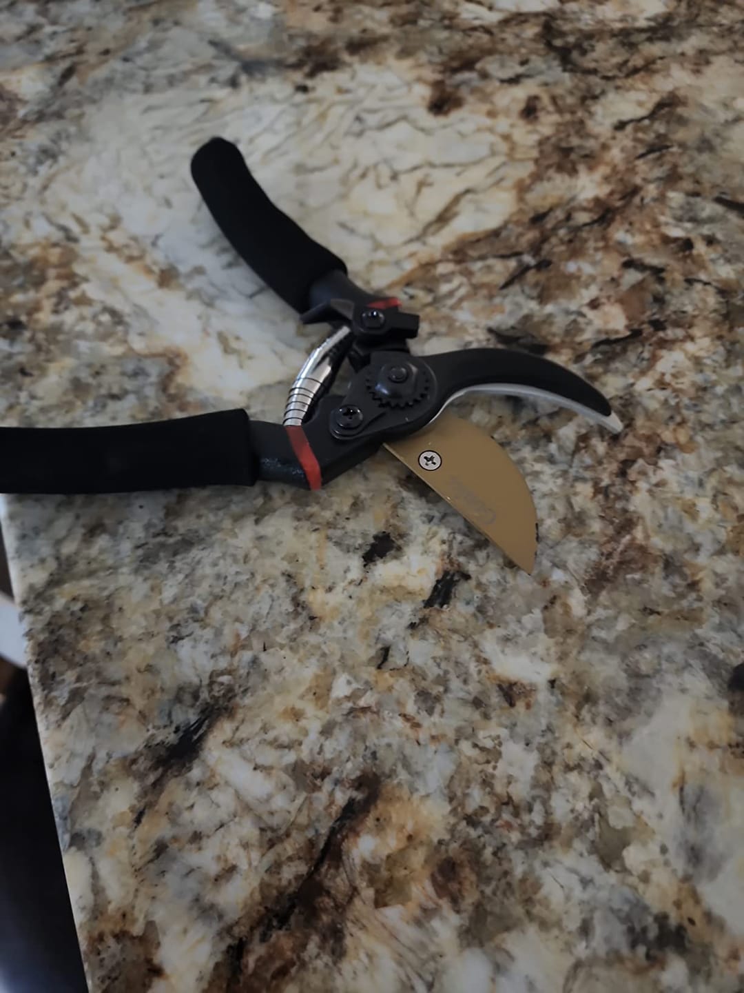 Customer photo review of Professional Bypass Pruning Shears 8.5 Inch – Sharp & Ergonomic