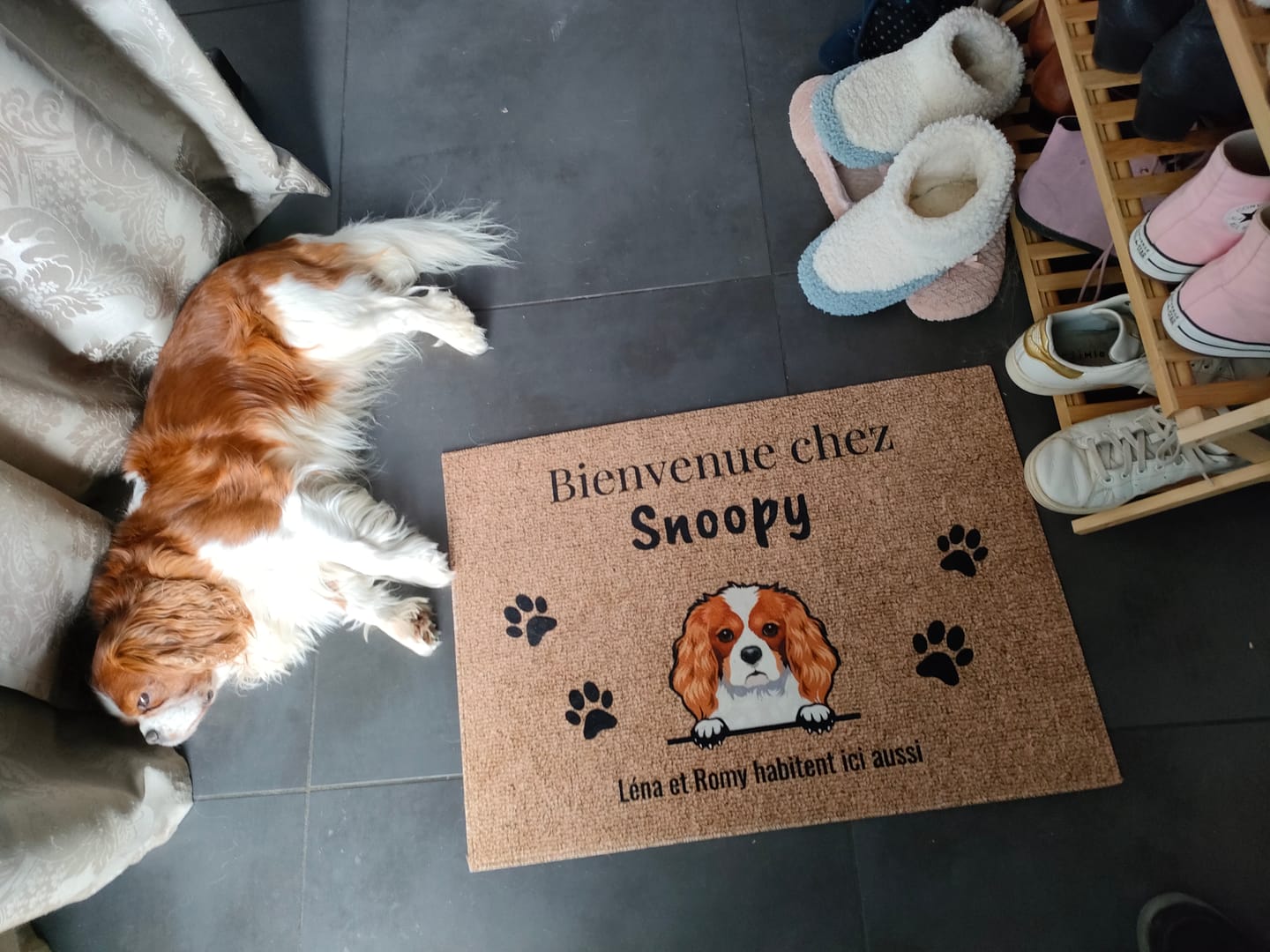 Customer photo review of Bienvenue chez - Paillasson personnalisé