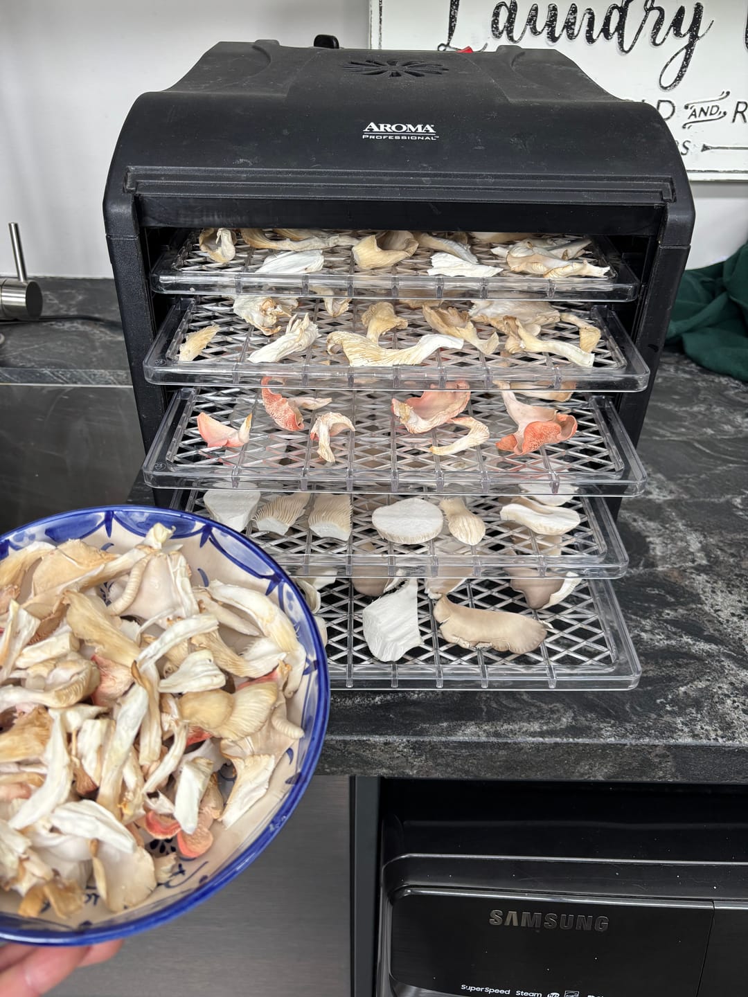 Customer photo review of Mushroom Grow Kits