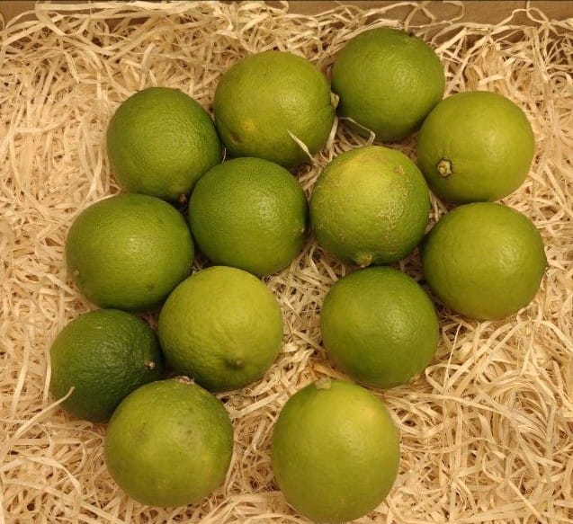 Customer photo review of Limetten Bio von Andres Spanien