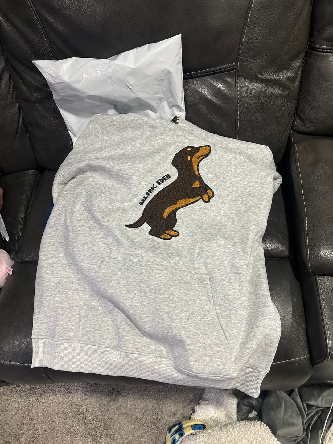 Customer photo review of Aelfric Eden Dachshund Pullover Hoodie
