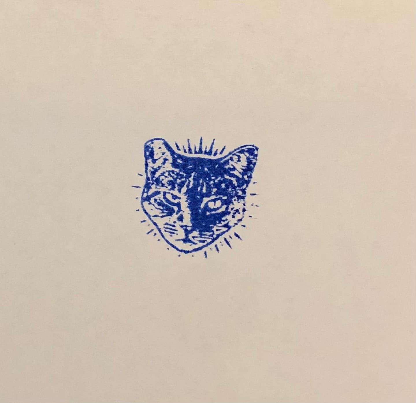 Customer photo review of Face Stamp﹘No Text - Self-Inking Stamp (min. 0.7")﹘US