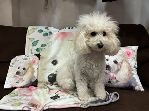 Customer photo review of Petcanva©オーダーメイド ペット似顔絵【3点セット】