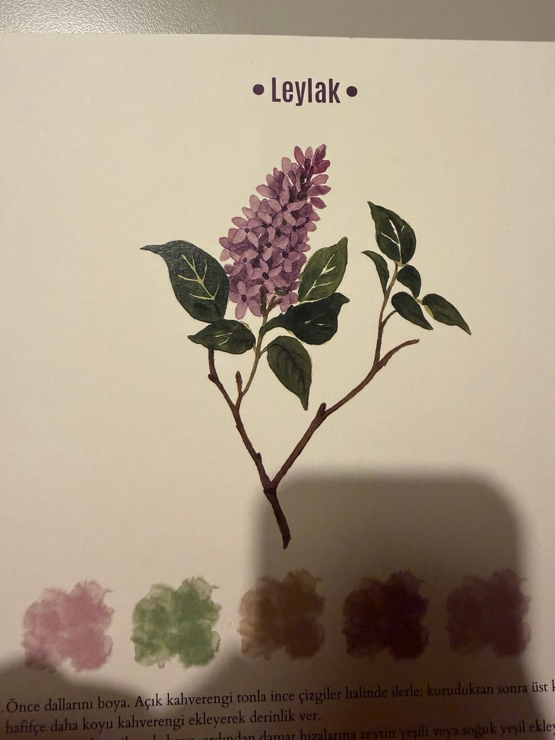 Customer photo review of Rehberli Sulu Boya Boyama Kitapları